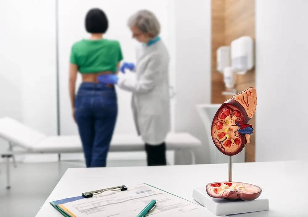 Treatment of kidney diseases at urology.
